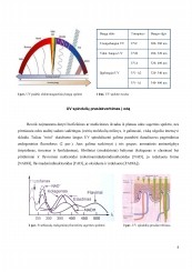 www.speros.lt